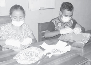 Atividade FBTL nian halo kapsula la uza kimiku