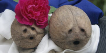 Lenda Nu’u Kakún Timor