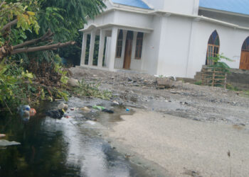 Imajen bé iha estrada laran iha Kapela – Bebonuk nia oin. Foto Waihurakau, 02/2021