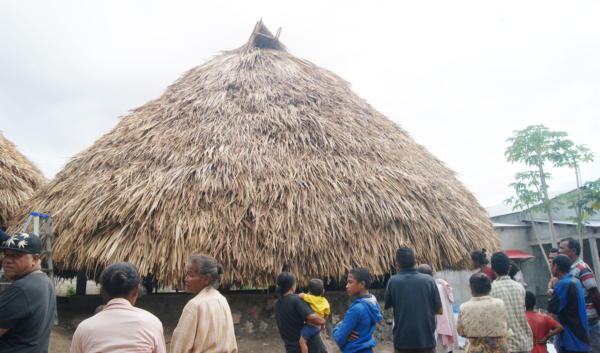 Lenda de Timor Leste Dom (João Lirio) Baukau Time Timor Magazine