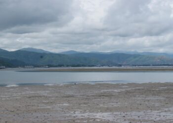 Presiza iha Movimentu Hapara: Komunidade Sunu Lixu Naun Organiku tuir Gostu