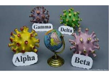 Kontrola Movimentu Ilegal  Bele Funu Hosoru Variante Delta