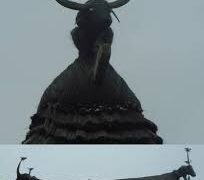 Natureza Sai Siak iha Tinan 2022 – 2023