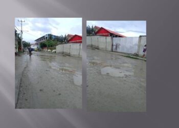 Manan Tender  Abandona Projetu