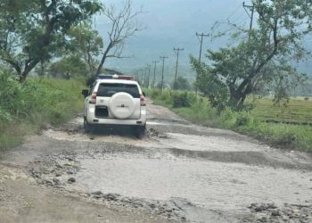 Lia Tatoli ba Governu da Sia