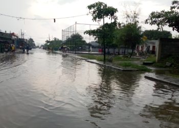 Udan La To’o Oras : Bee Nakonu Iha Cidade Dili