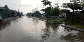 Udan La To’o Oras : Bee Nakonu Iha Cidade Dili