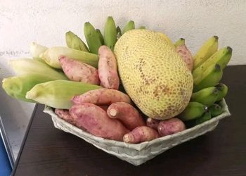 “Pensaun Laiha  Ami Hakarak Saudozu Nia Restus Mortais Hakoi Fali.   Iha Semiteriu Publiku”