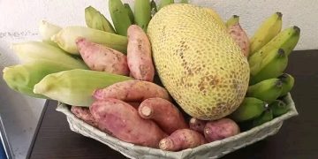 “Pensaun Laiha  Ami Hakarak Saudozu Nia Restus Mortais Hakoi Fali.   Iha Semiteriu Publiku”