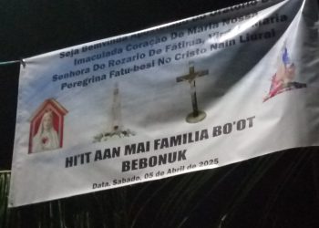 Sarani Bebonuk Hetan Vizita husi Illas Peregrina