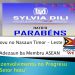 Timoroan Orgullu Sai Membru ASEAN – Vitoria ba Povu – Nasaun TL