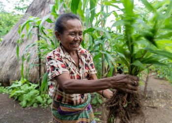 Entrevista : Problema Pobreza Iha Timor – Leste Intervensaun Husi Parte Akadémika