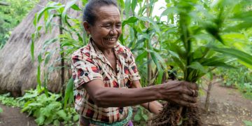 Entrevista : Problema Pobreza Iha Timor – Leste Intervensaun Husi Parte Akadémika