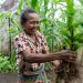 Entrevista : Problema Pobreza Iha Timor – Leste Intervensaun Husi Parte Akadémika